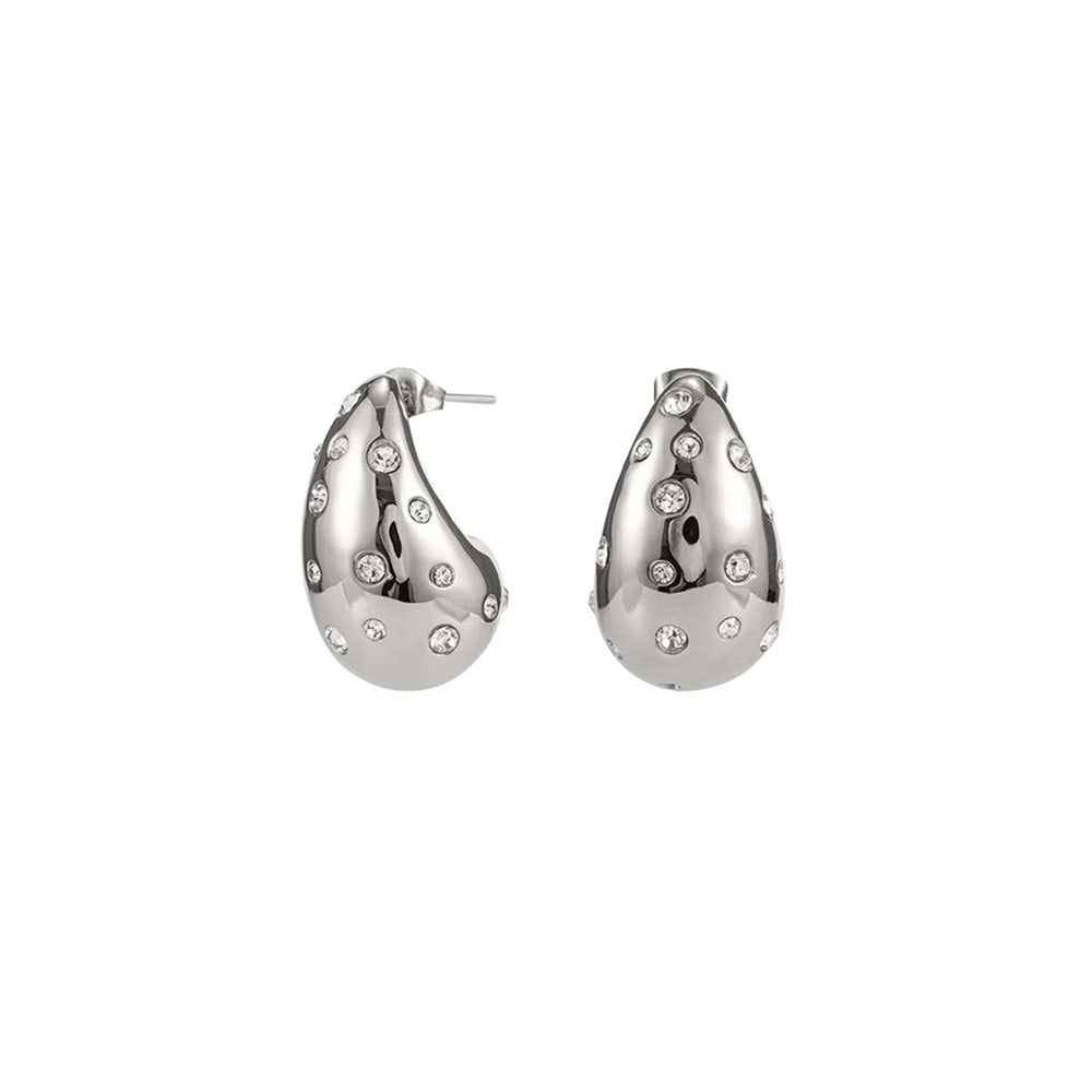 Peachy Accessories Exquisite Silver Drop Earrings