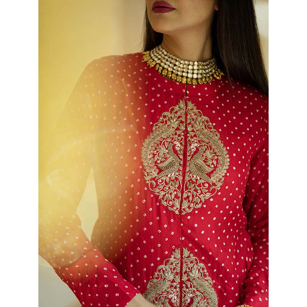 PINK CITY BY SARIKA Bandani Signature Gown