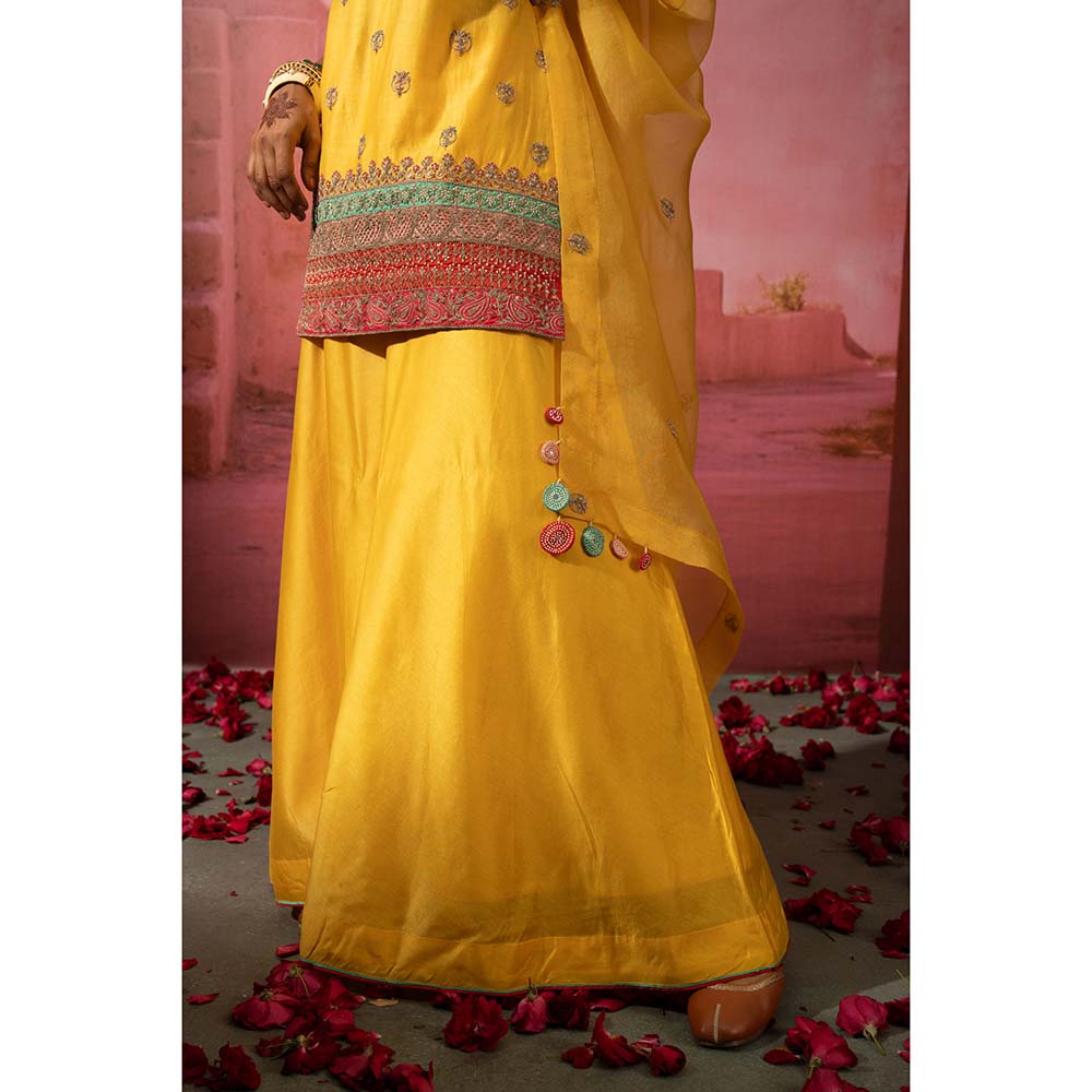 PINK CITY BY SARIKA Peela Embroidered Kurta with Sharara and Dupatta (Set of 3)