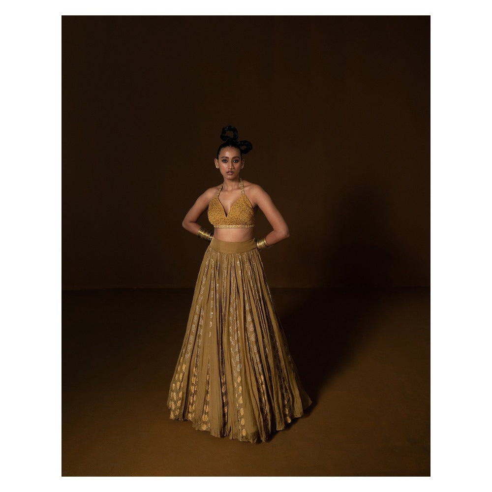 POOJA RAJGARHIA GUPTA Manjari Lehenga (Set of 3)