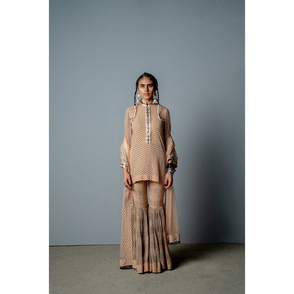 POOJA RAJGARHIA GUPTA Nude Zig Zag Sharara with Kurta and Dupatta (Set of 3)
