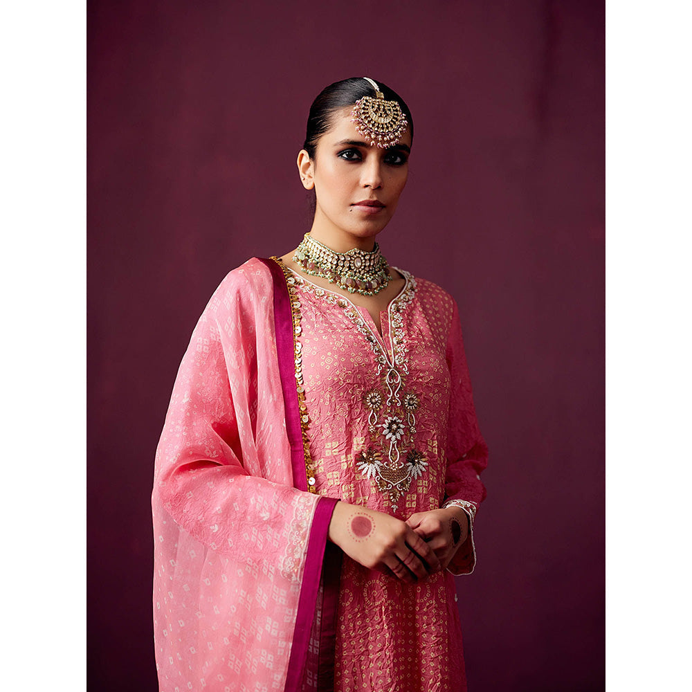 Pooja Singhal Hand Embroidered Print Silk Anarkali With Silk Pant & Organza Dupatta (Set of 3)