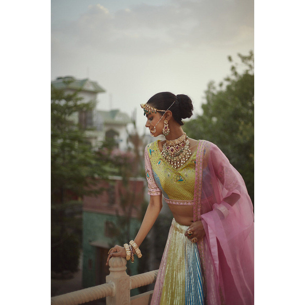 PRATIBHA SULTANIA Multi-Color Tafta Lehenga with Choli & Dupatta (Set of 3)