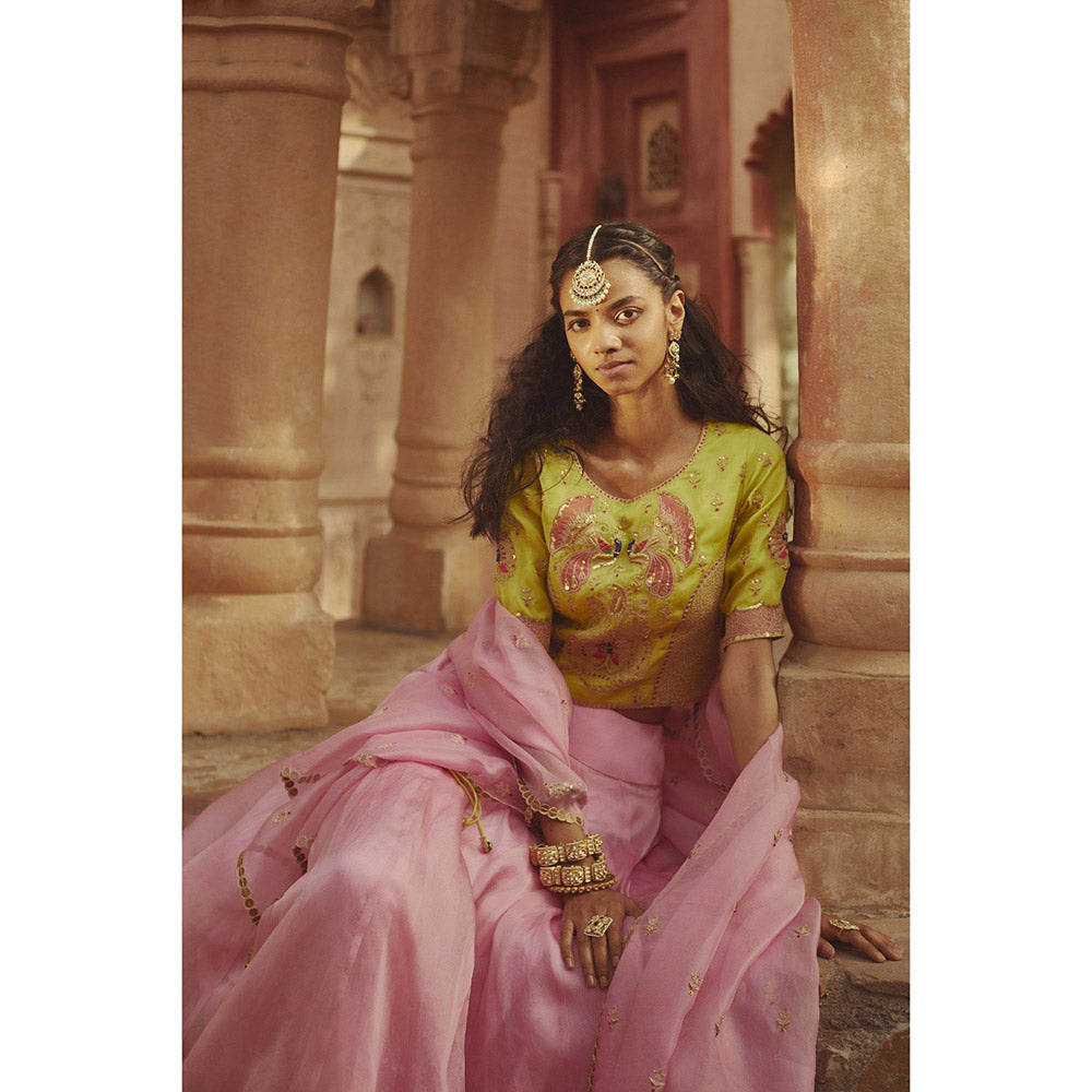 PRATIBHA SULTANIA Multi-Color Embellished Peacock Lehenga with Choli & Dupatta (Set of 3)