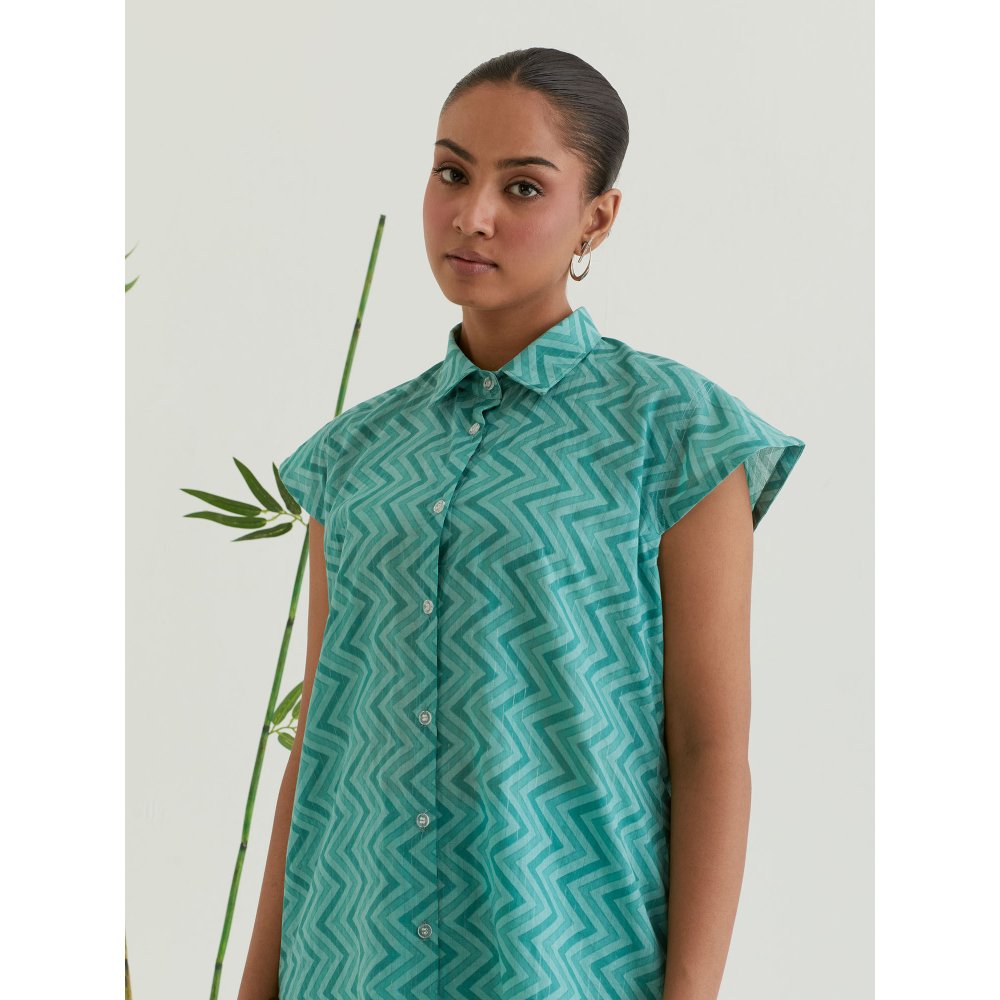 Priya Chaudhary Green Printed Co-Ord (Set of 2)