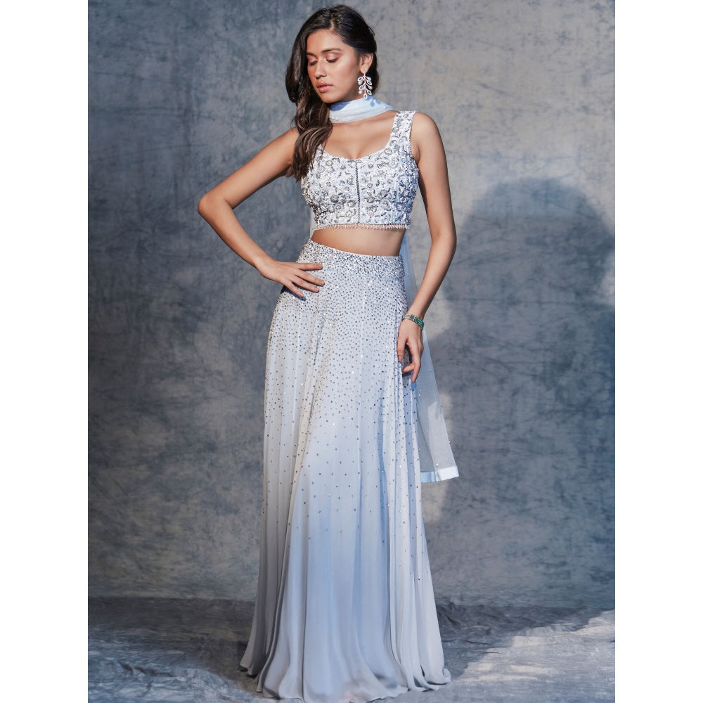 Pritika Vora Sky Blue Hand Embroidered Blouse with Lehenga & Dupatta (Set of 3)