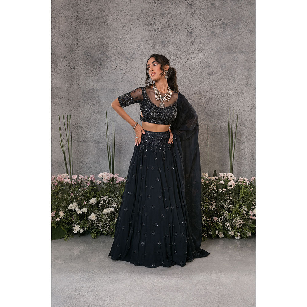 Pritika Vora Mid Blue Lehenga with Blouse & Dupatta (Set of 3)