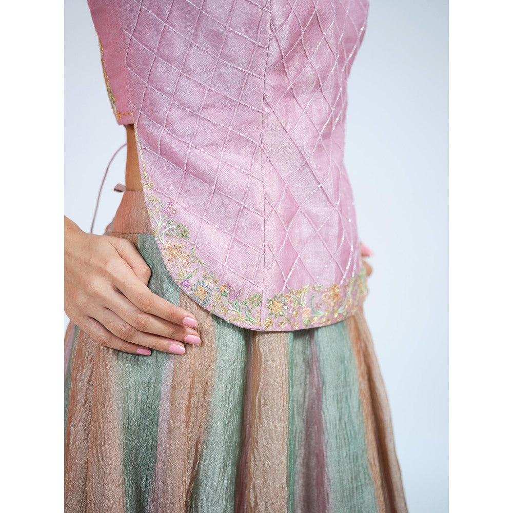 RAAG SUTRA Tissue Crop Top with Lehenga (Set of 2)