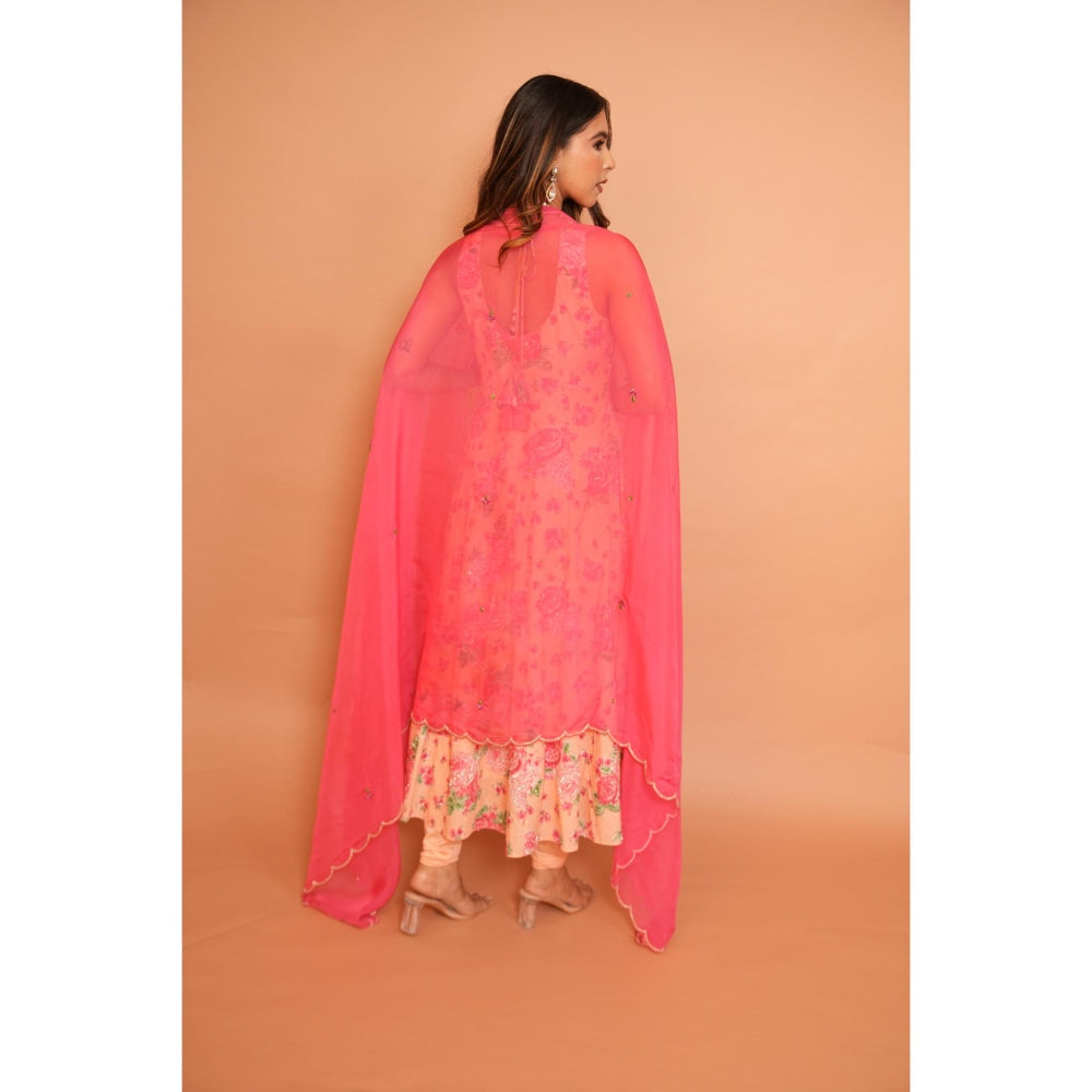 Rabnoor K Sethi Blush Pink Anarkali with Churidar and Dupatta (Set of 3)