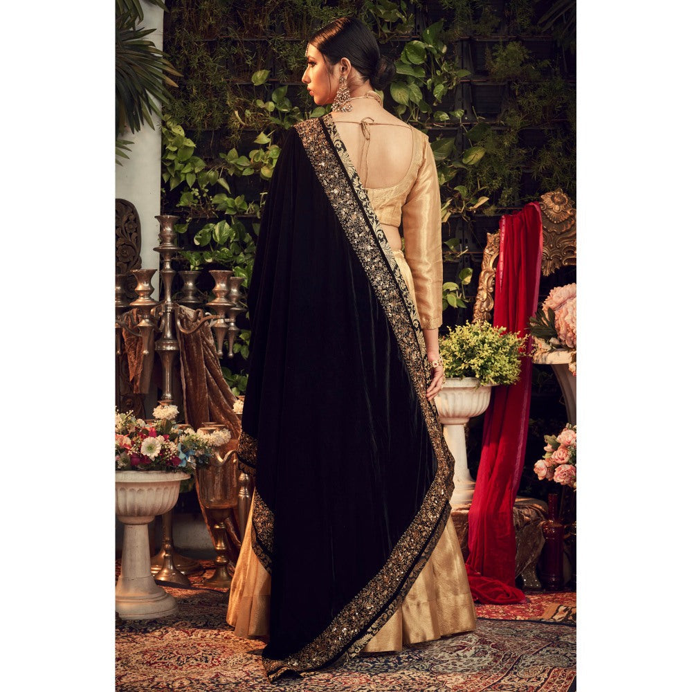 Ranian Oxidized Gold Lehenga and Blouse with Black Velvet Dupatta (Set of 3)