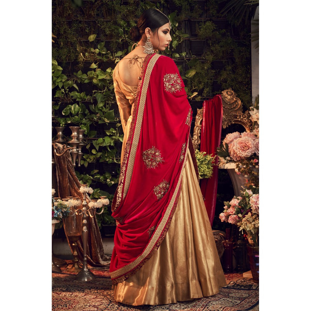 Ranian Oxidized Gold Lehenga and blouse with Red Velvet Dupatta (Set of 3)