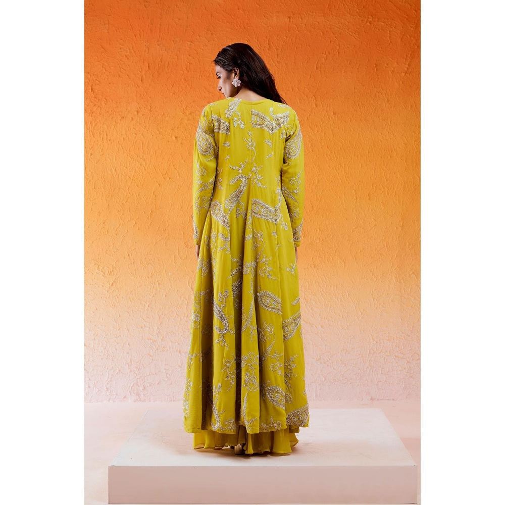 Redpine Designs Daisy Yellow Embroidered Jacket with Sharara and Bustier (Set of 3)