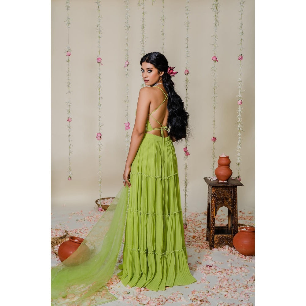 Redpine Designs Green Embroidered Sharara with Blouse and Dupatta (Set of 3)