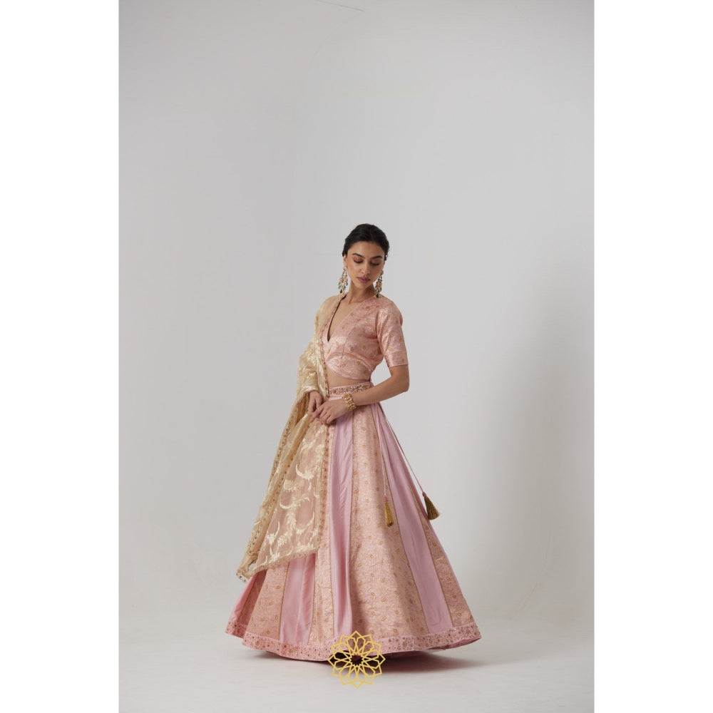 Rhua India Pink Aachal Lehenga with Blouse and Dupatta (Set of 3)