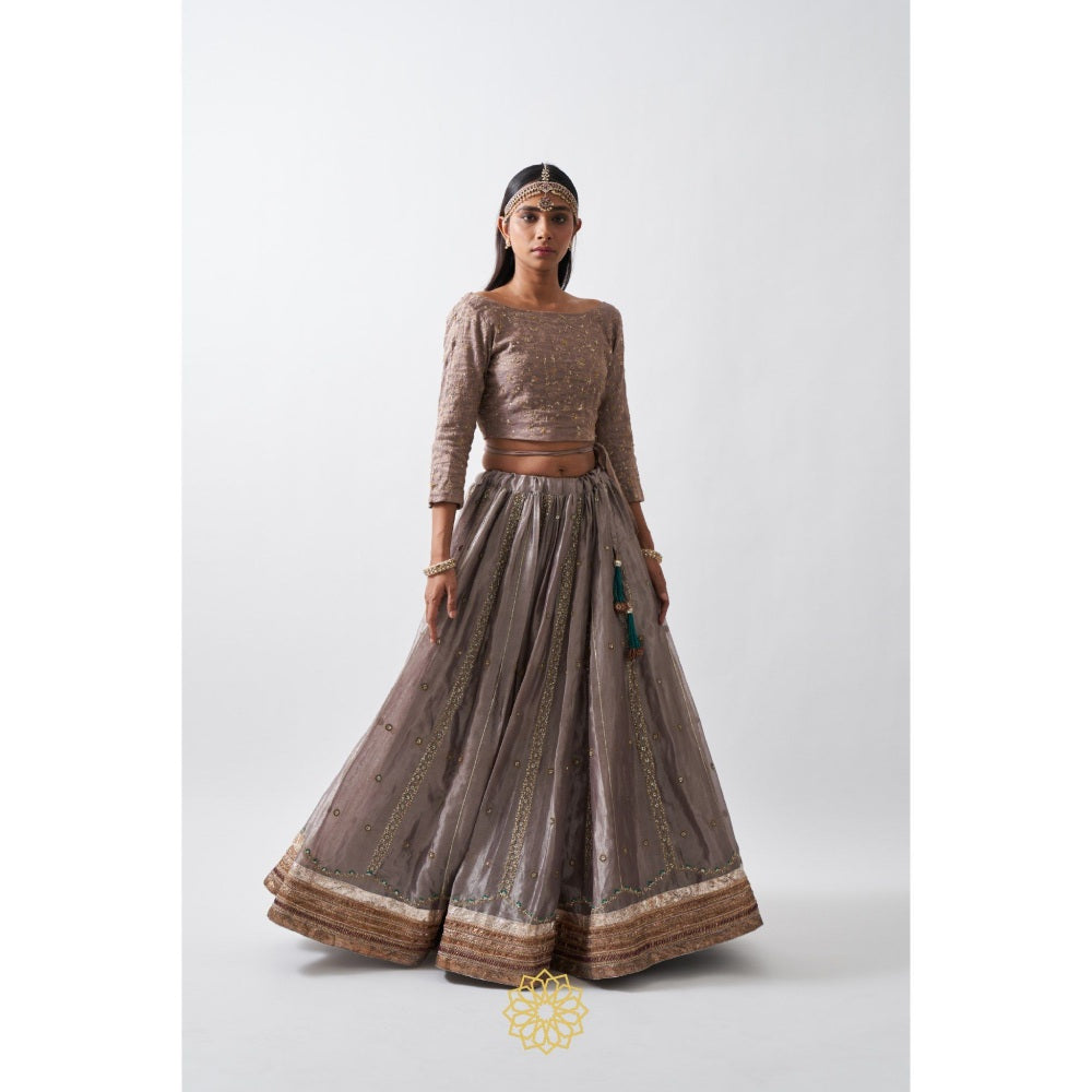 Rhua India Taupe Anaita Lehenga with Blouse and Dupatta (Set of 3)