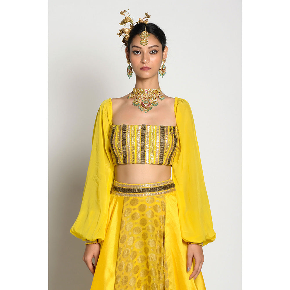 RISHI & VIBHUTI Amber Drop Top and Lehenga (Set of 2)