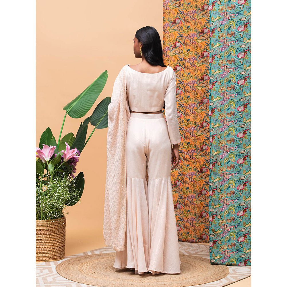 RISHI & VIBHUTI Kate Mate Rose Gold Saree with Stitched Blouse