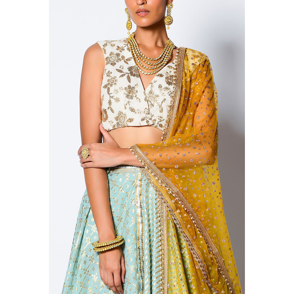 Rishi & Vibhuti Tasavvur Blouse with Skirt & Dupatta (Set of 3)