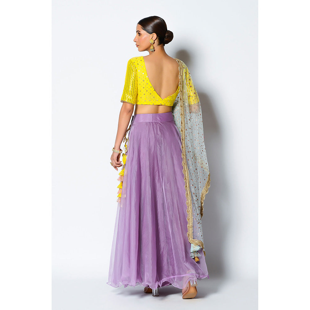 Rishi & Vibhuti Gauhar Blouse with Skirt & Dupatta (Set of 3)