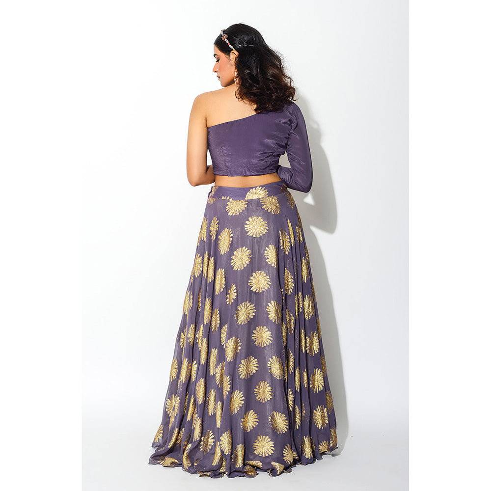 Rishi & Vibhuti Skirt and Blouse (Set of 2)
