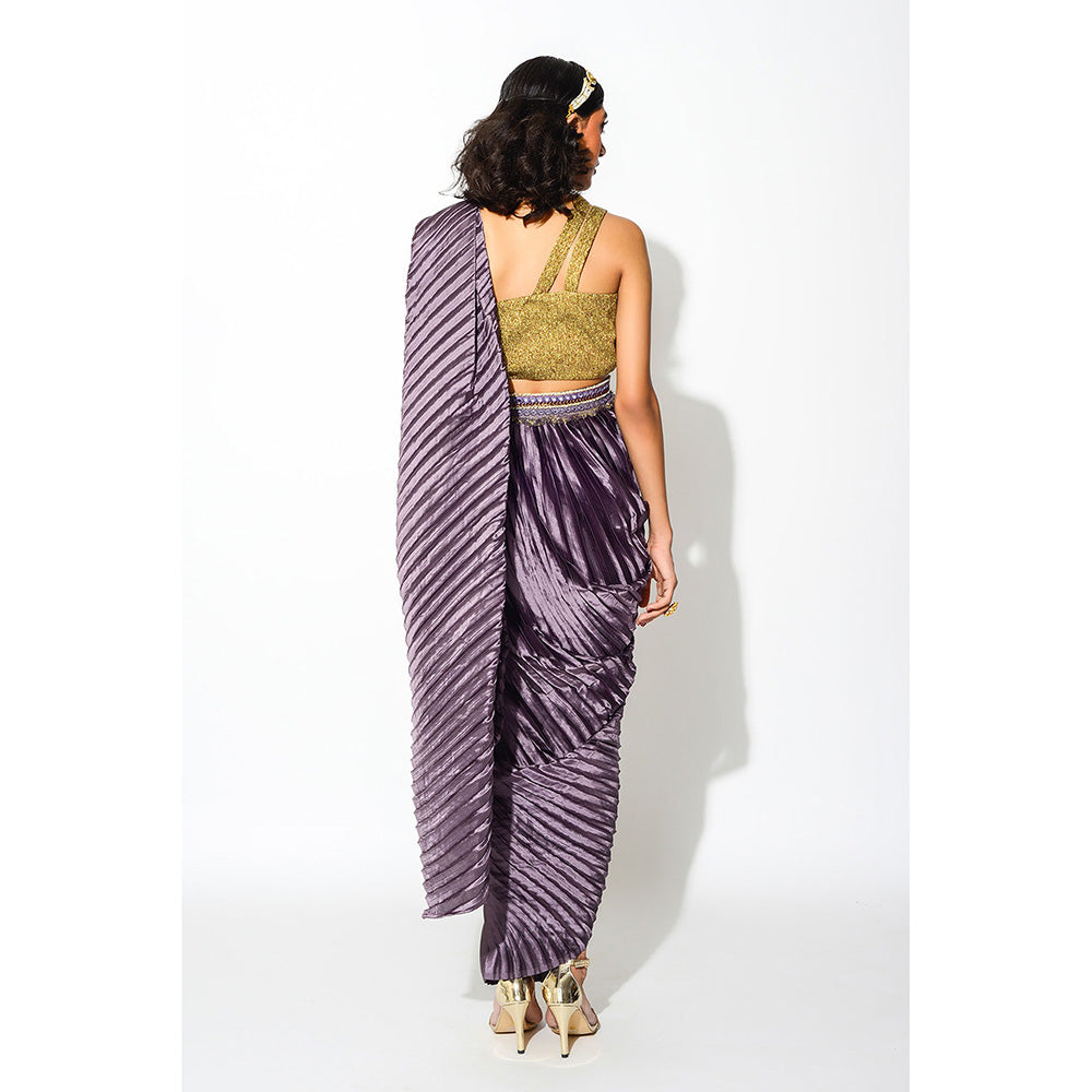 Rishi & Vibhuti Pre Draped Saree with Stitched Blouse