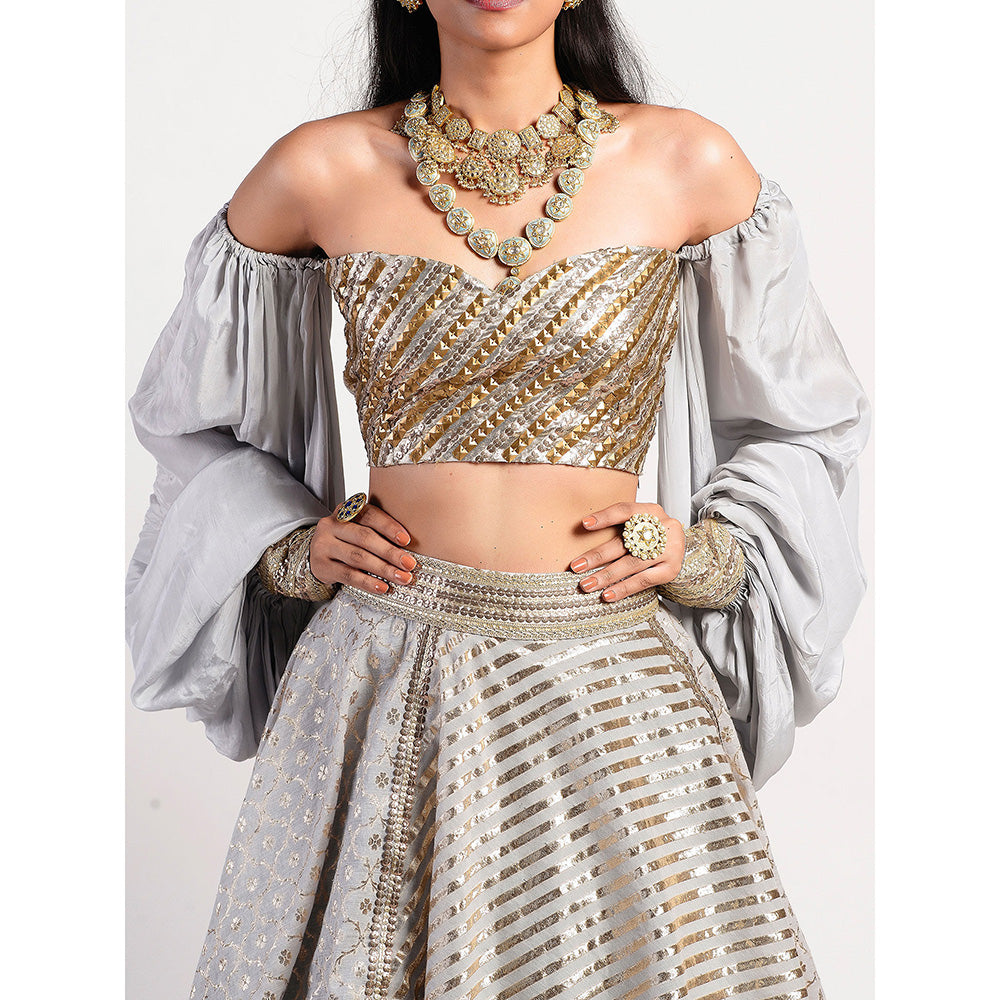 Rishi & Vibhuti Silver Drop Embellished Lehenga With Blouse (Set of 2)