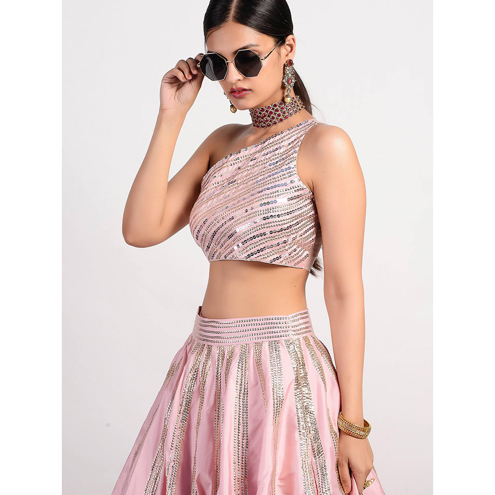 Rishi & Vibhuti Stereo Pink Lehenga And Blouse (Set of 2)