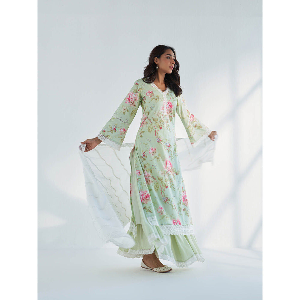 Roze Maysoon Sharara