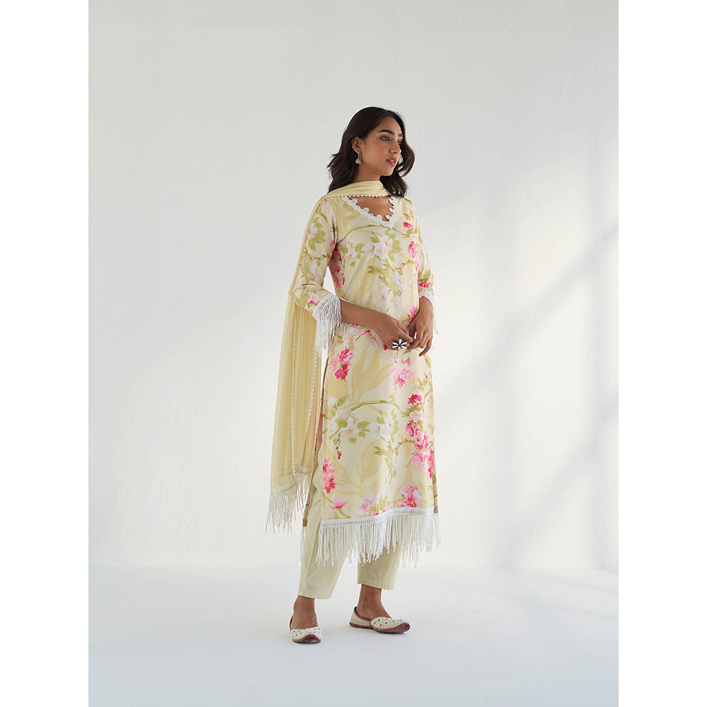 Roze Mahnoor Pant