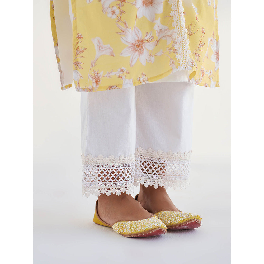 Roze Amina Pant