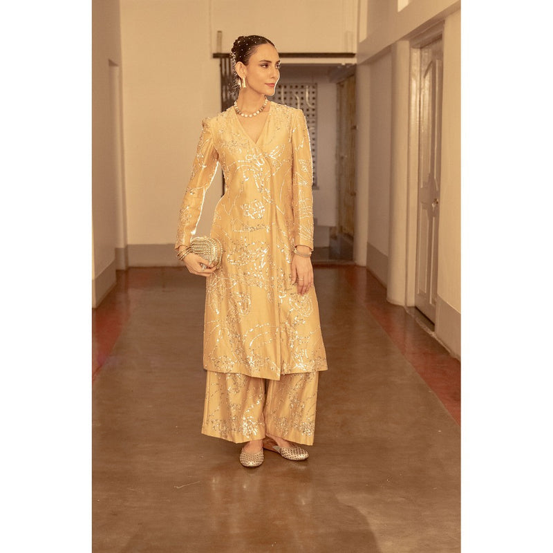 Saksham & Neharicka Beige Embroidered Kurta with Palazzo (Set of 2)