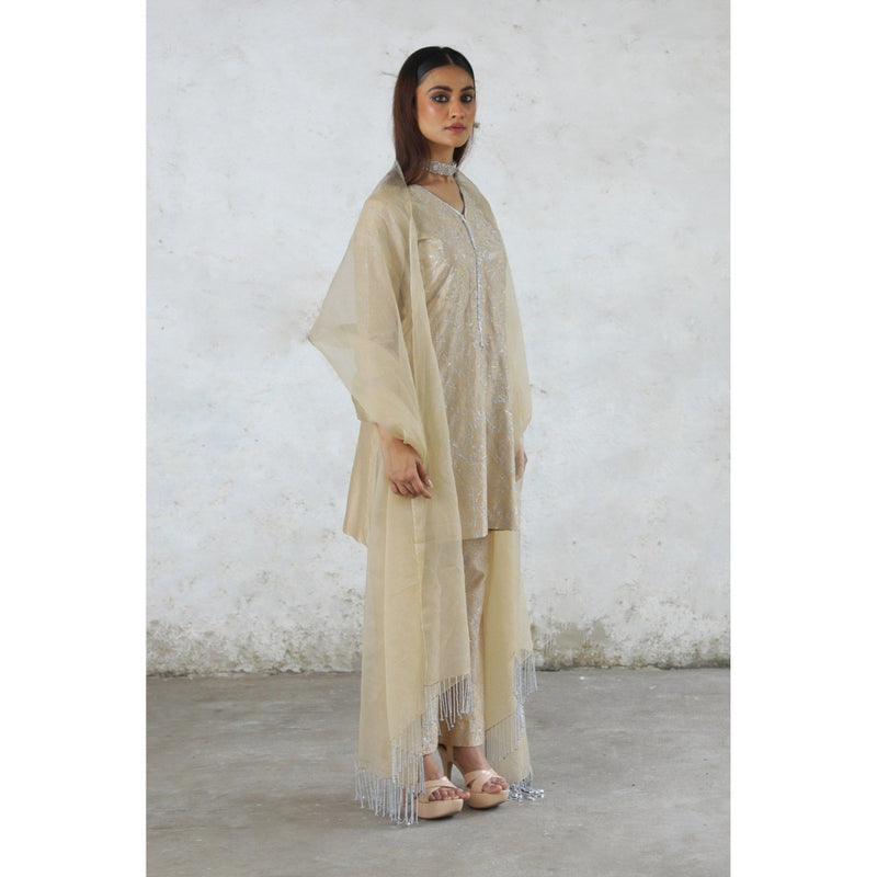 Saksham & Neharicka Beige Charulata Kurta with Pant and Dupatta (Set of 3)