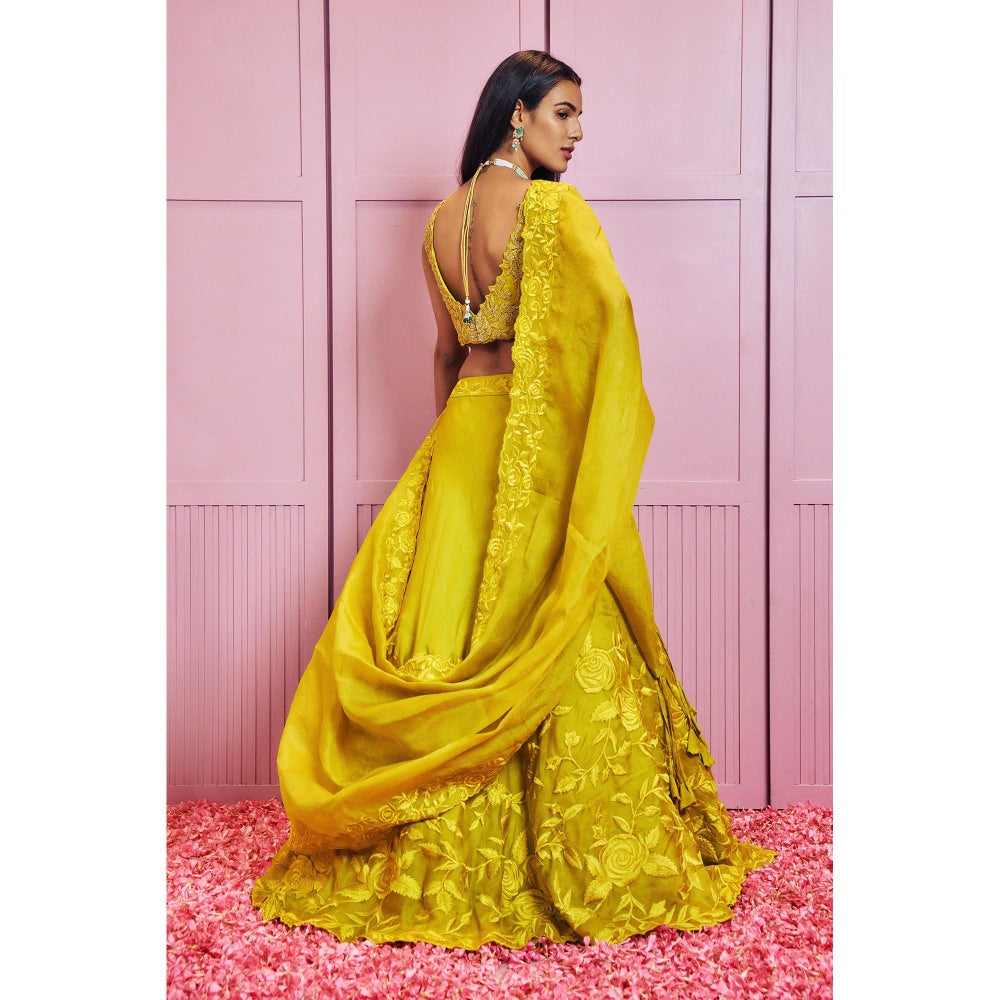 SAMMOHI BY MOKSHA & HIRAL Yellow Lehenga With Stitched Blouse And Dupatta (Set of 3)