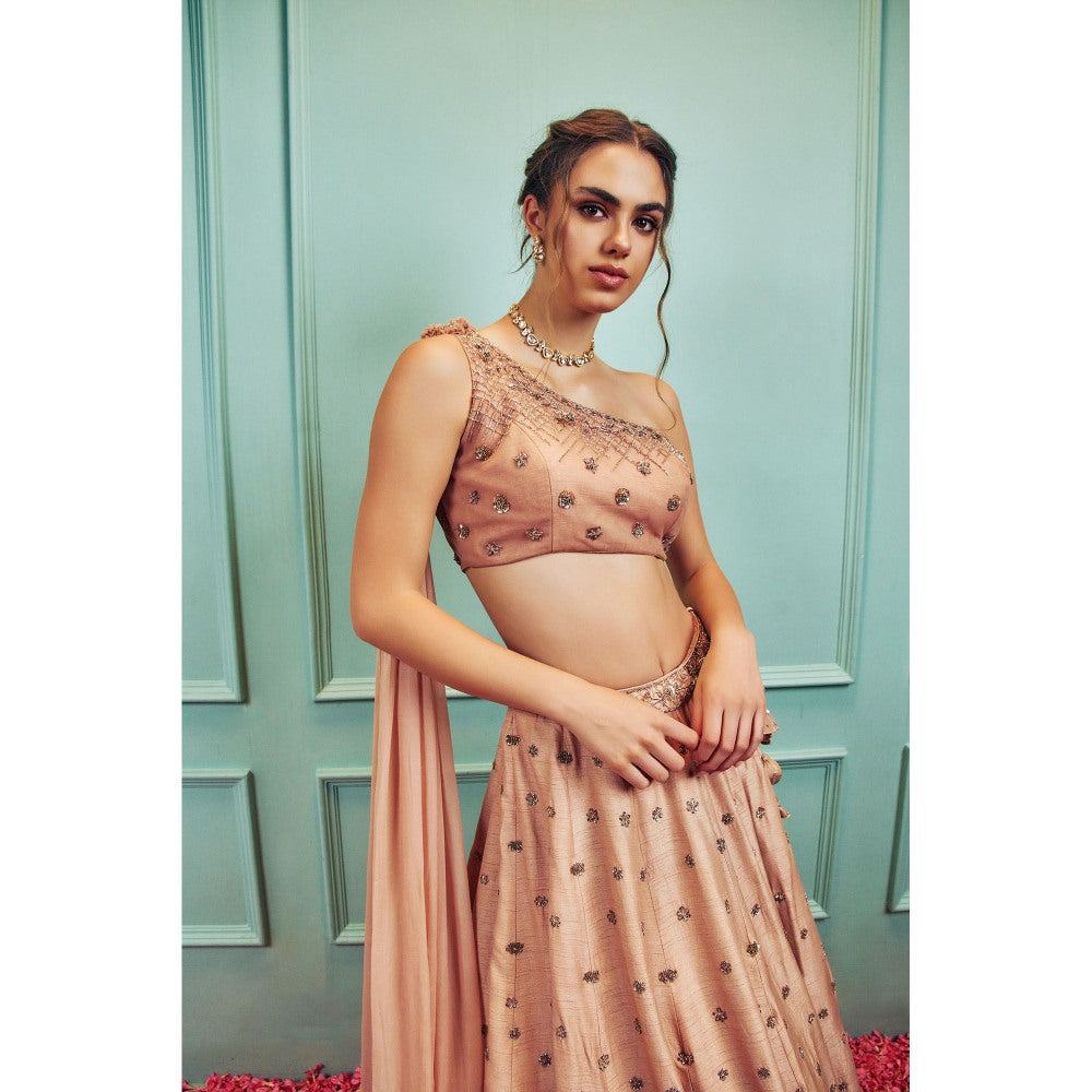 SAMMOHI BY MOKSHA & HIRAL Peach Lehenga With Stitched Blouse And Attached Dupatta (Set of 2)