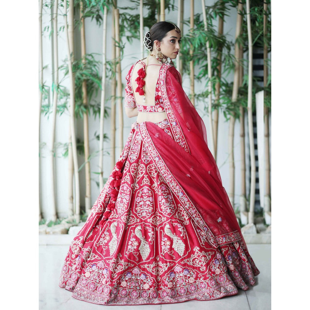 Sanjana Thakur Red Bridal Lehenga with Blouse and 2 Dupattas (Set of 4)