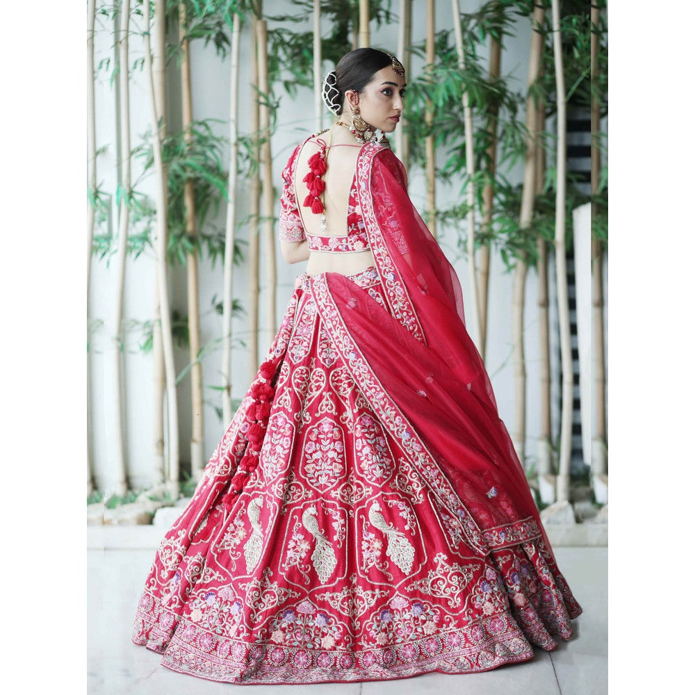 Sanjana Thakur Red Bridal Lehenga with Blouse and Dupatta (Set of 3)
