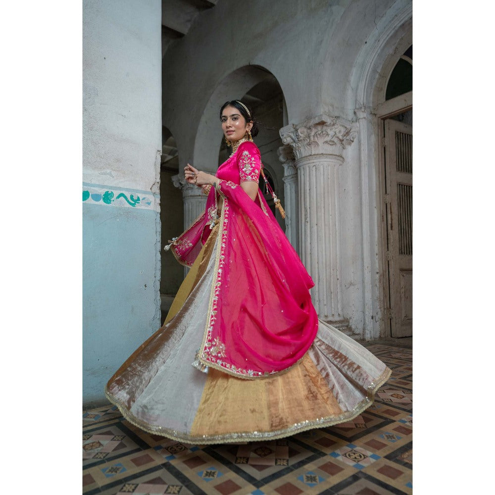 Sheela Suthar Pink Embroidered Lehenga with Dupatta, Blouse and Cancan Skirt (Set of 4)
