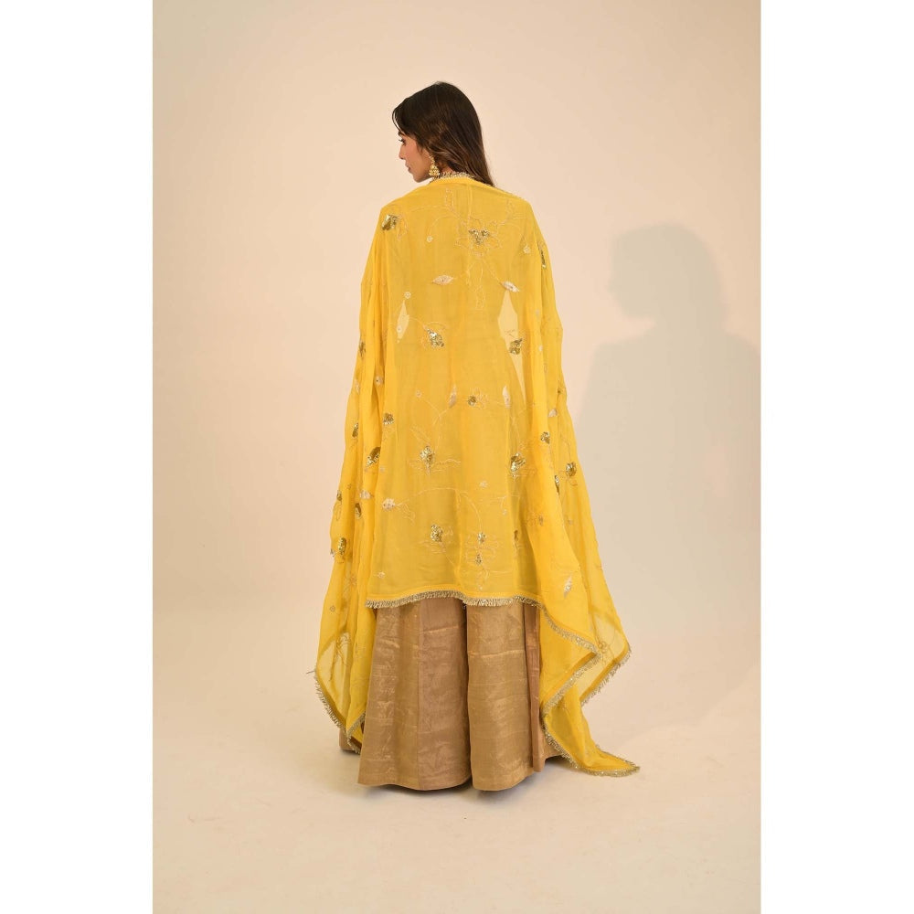 Sheela Suthar Zari Gold Lehenga with Blouse, Dupatta and Cancan Skirt (Set of 4)