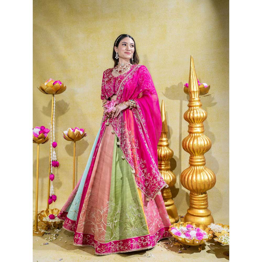 Sheela Suthar Pink Lehenga with Blouse, Dupatta, Kali Attachment and Cancan Skirt (Set of 5)