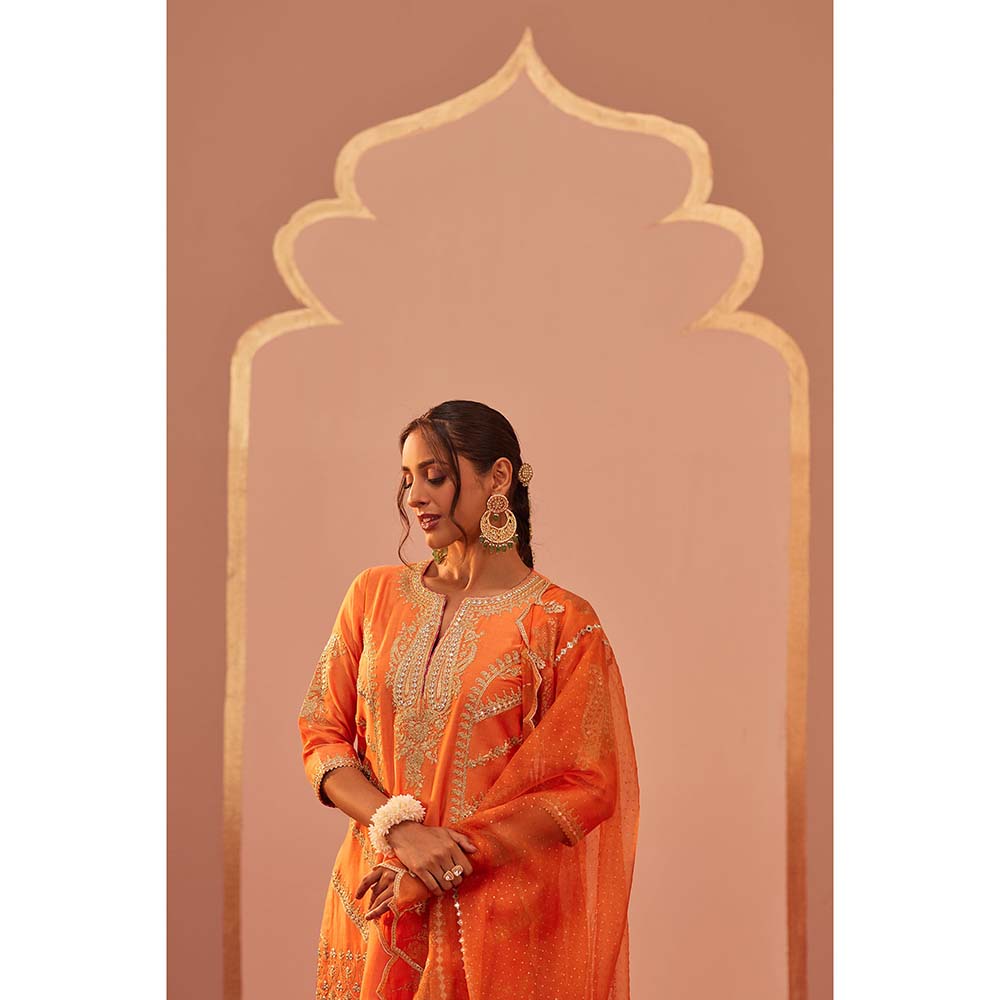 Sheetal Batra Orange Kurta With Salwar And Dupatta (Set of 3)