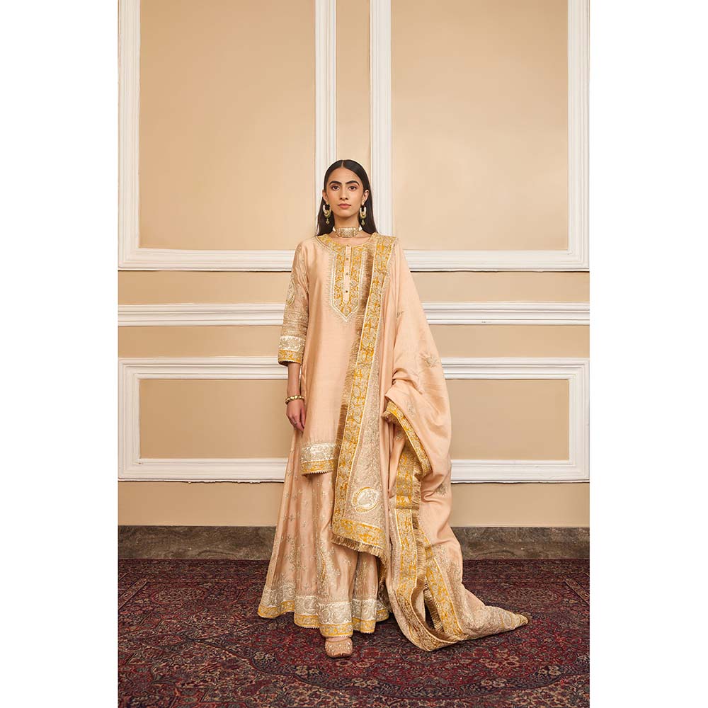 Sheetal Batra Beige Kurta With Sharara And Dupatta (Set of 3)
