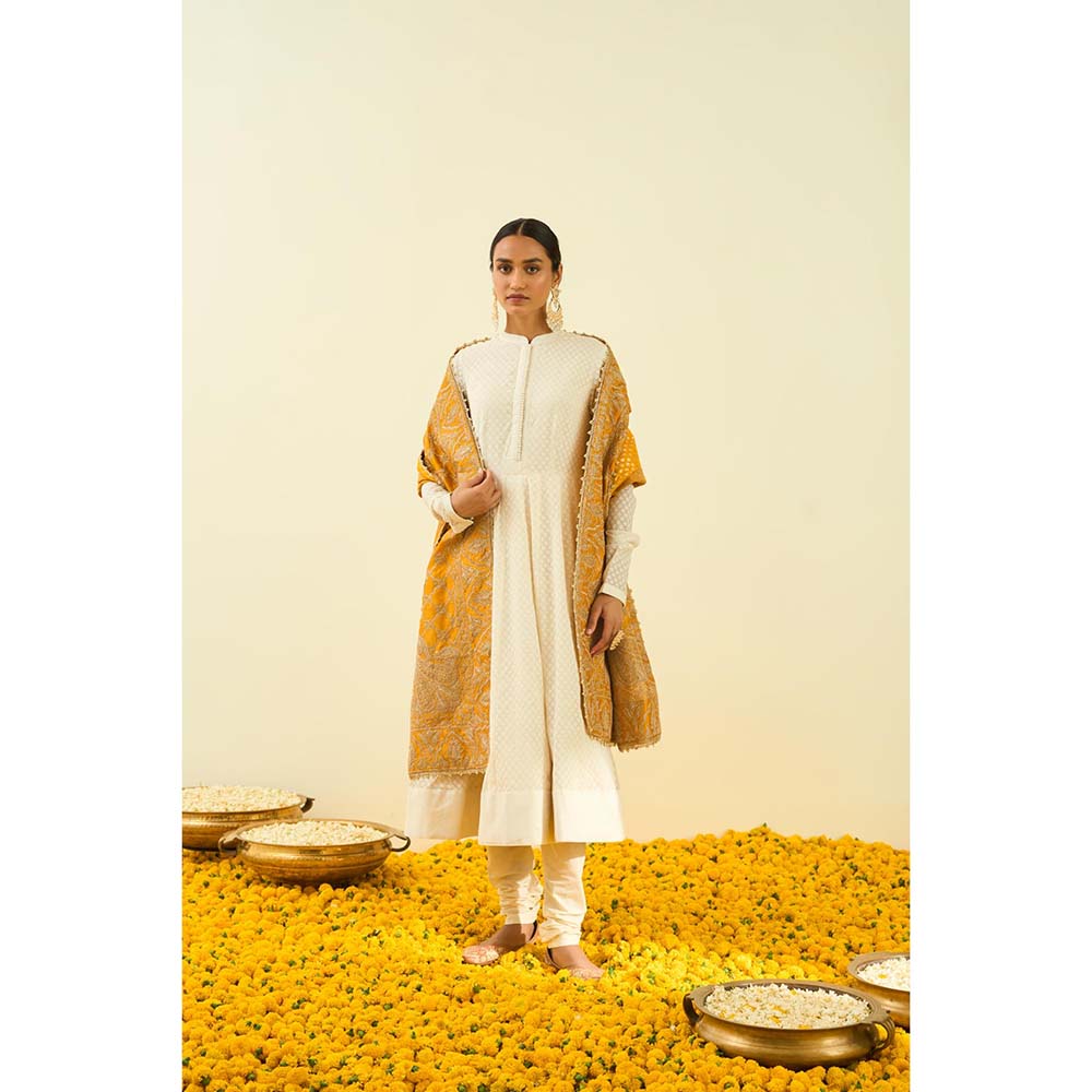 Sheetal Batra Glaze Mustard Tilla Embroidery Dupatta