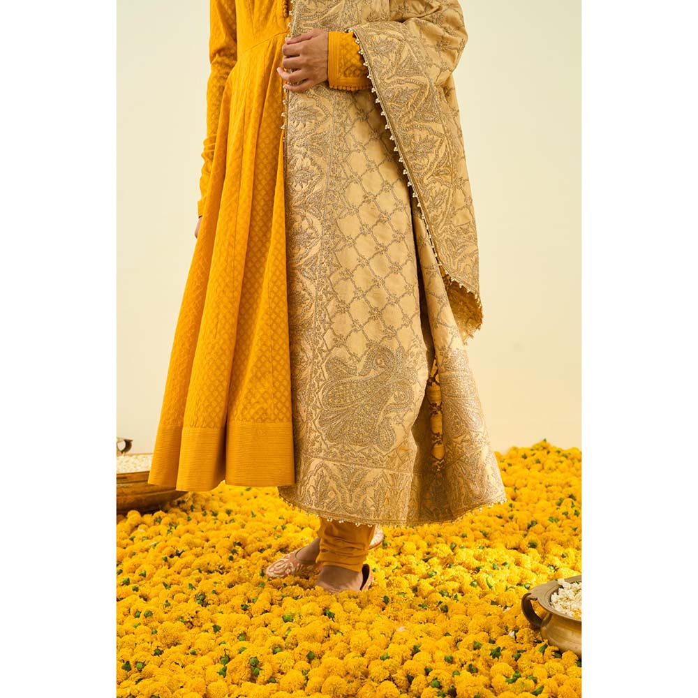 Sheetal Batra Gold Tilla Embroidery Dupatta