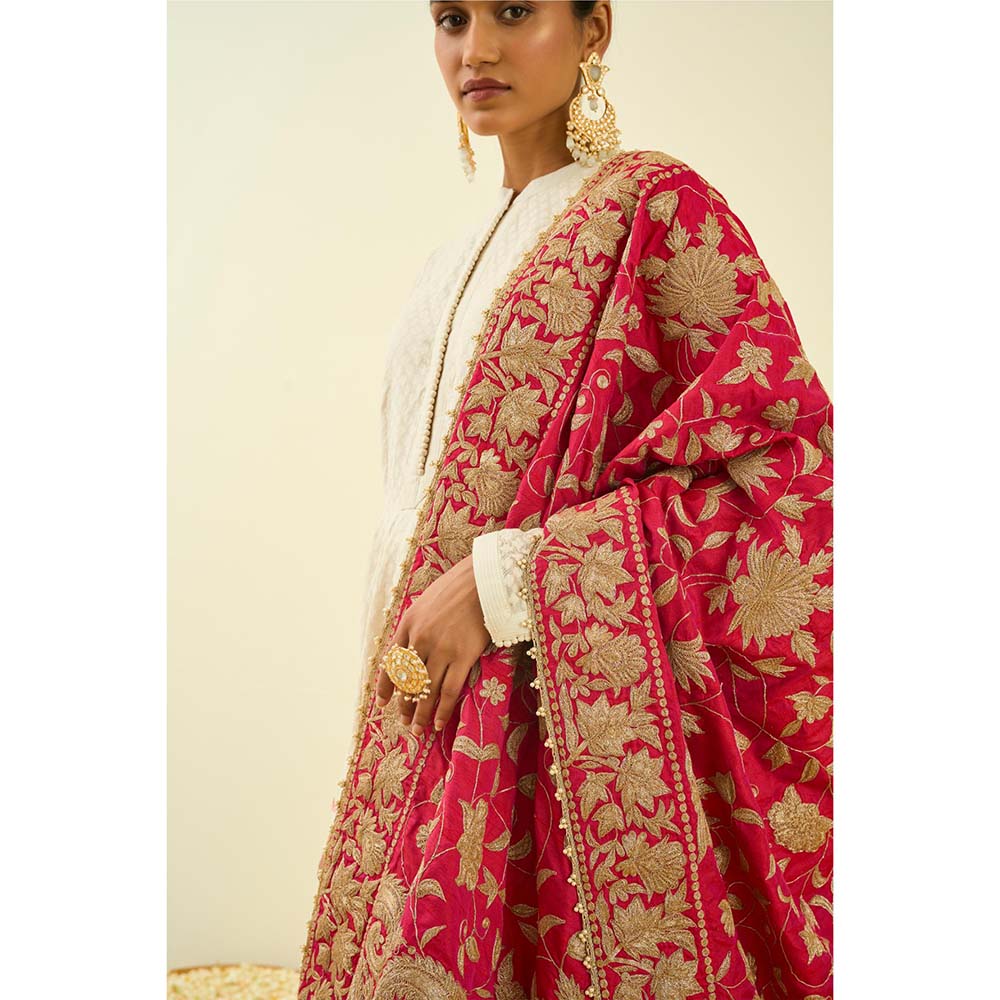 Sheetal Batra Hot Pink Floral Tilla Embroidery Dupatta
