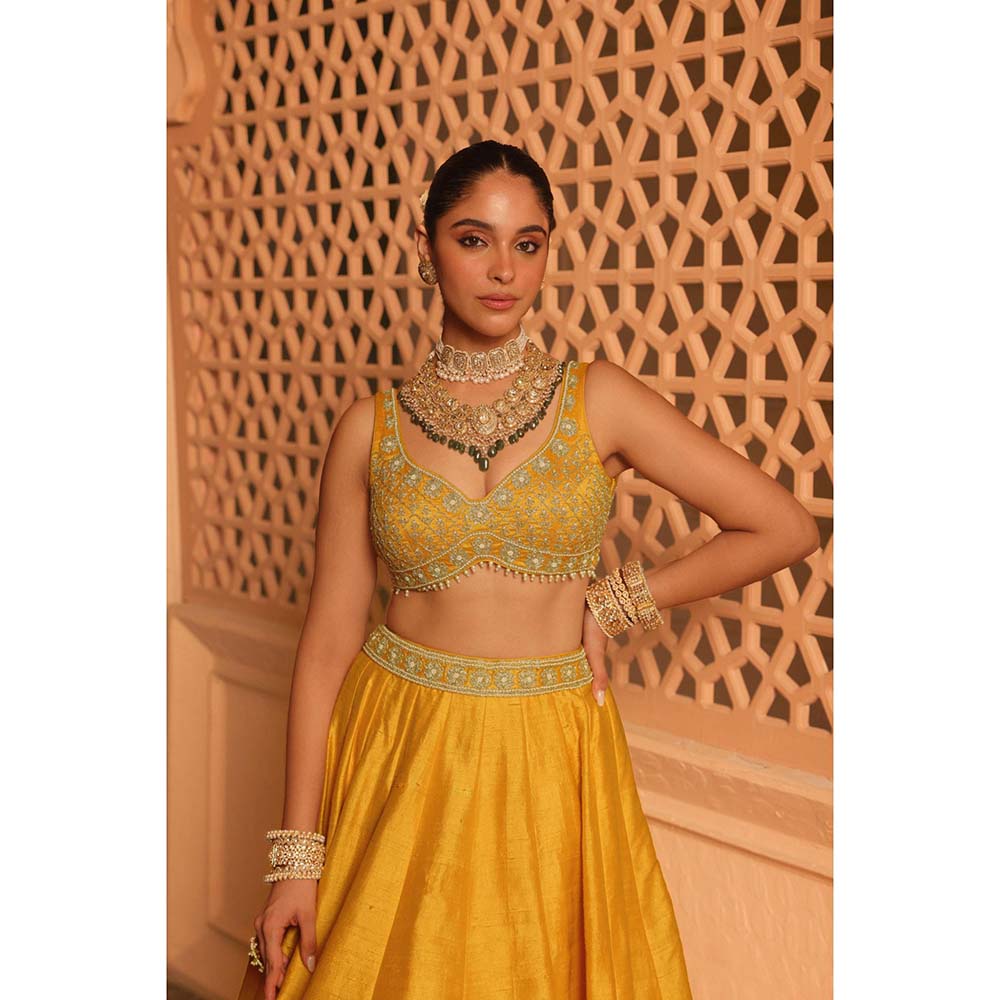 Sheetal Batra Mazhum Mustard Lehenga with Blouse and Dupatta (Set of 3)