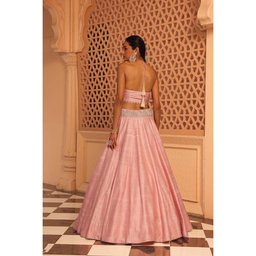 Sheetal Batra Humeyra Rose-Pink Lehenga with Blouse and Dupatta (Set of 3)