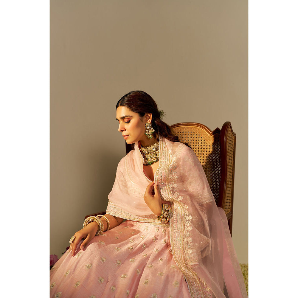 Sheetal Batra Pink Fida Lehenga with Blouse and Dupatta (Set of 3)