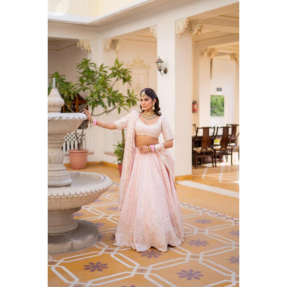 Sheetal Batra Fida - Pink Lehenga With Blouse And Dupatta Set