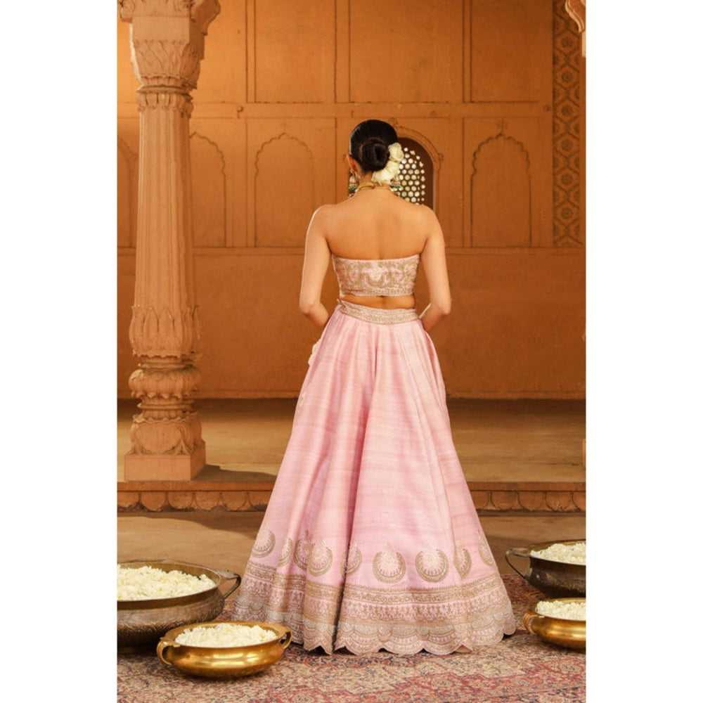 Sheetal Batra Razana - Blush Pink Lehenga With Blouse And Dupatta Set
