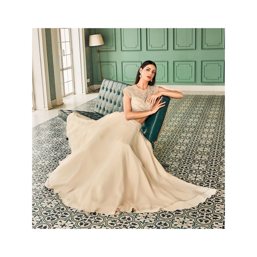 Shriya Dahlia Beige Reverse Back Bustier with Satin Skirt with Organza Layer (Set of 2)